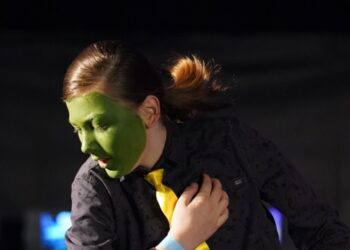 Domagoj Pavlić / ŠPK H-8