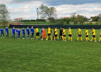 NK Dinamo - NK Garić