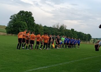 Omladinac - Lasta (Facebook)