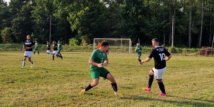 Polet (U) - Zvijerci