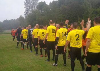 NK Bršljanica - NK Lasta