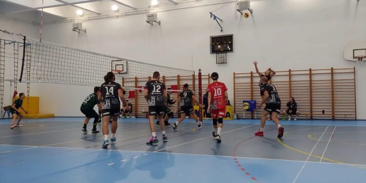 OK Daruvar (Foto Katarina Pranjić/OK Daruvar)