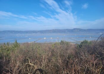 Atletičari AK Borik na Parenzana trailu, jedan istrčao 88km, a drugi 50km