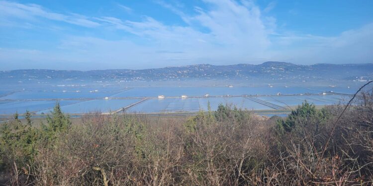 Atletičari AK Borik na Parenzana trailu, jedan istrčao 88km, a drugi 50km