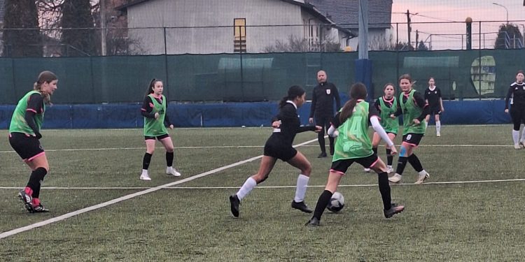 Lastavice odigrale novu utakmicu u Zimskoj ligi, a dobivaju još jednu ekipu: Javi nam se, zajedno letimo do pobjede